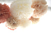 Neutral Paper Pom Poms Set of 20 Rustic Wedding Decor Fall Baby Shower Bridal Shower Birthday Party Nursery Decorations Boho Paper Flowers