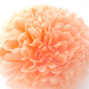 Peach paper pom pom party decorations pastel orange Paper flower wedding, birthday party, baby shower decor fall colour theme wedding decor
