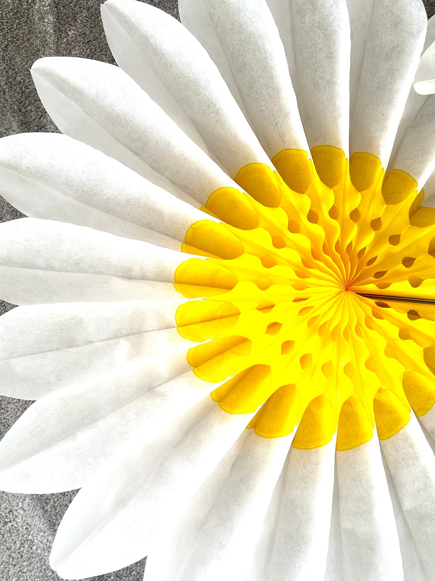 Set of 3 Beautiful White and Yellow Paper Daisy Flowers Huge Paper Fan Party Decorations for Weddings and birthday easy to use paper flowers