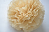 Parchment Tissue Paper Pom Pom Party Decorations - Rustic Wedding, Neutral Paper Flowers, Baby Shower, Nursery, Birthday Decor