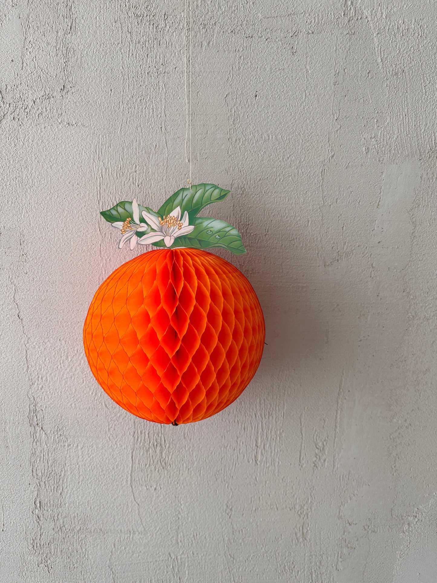 Large Paper Honeycomb Orange party decorations 35cm fruit birthday party citrus baby shower table decorations, classroom window display