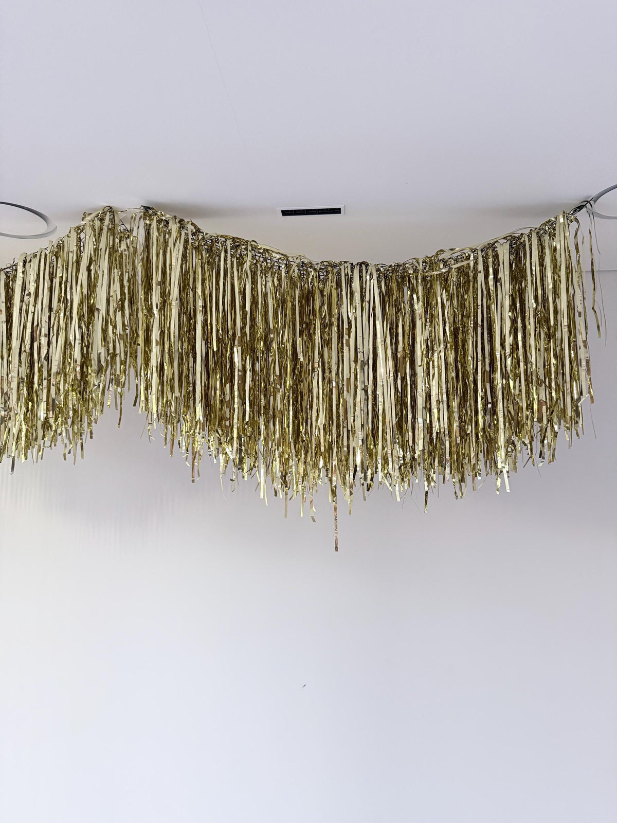 Light gold Fringe Garland, Ceiling Aerials, Streamer Backdrop, Metallic Party Decorations, Birthday Decor, New Year Party, Photo Backdrop