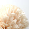 Beige tissue paper pom pom party decorations for wedding neutral baby shower birthday party home decor eco friendly Paper flowers