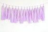 Custom color Tissue paper tassel garland Colourful fringe garland Birthday party banner fully assembled no DIY required Ready to use
