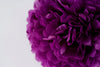 Plum tissue paper pom pom party decorations bright purple paper flowers various sizes wedding birthday party baby shower bridal shower decor