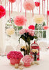 Pinks and ivory paper pom poms party set with streamers - Decopompoms