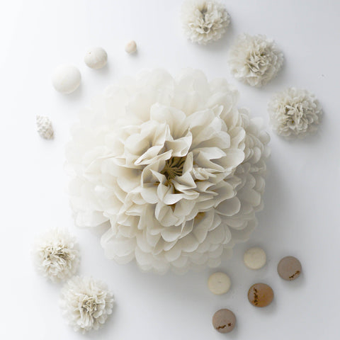 Almond milk tissue paper pom pom - Decopompoms