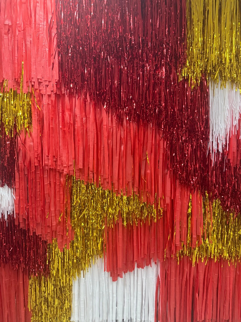 Custom Colour Fringe Backdrop Wall | Streamer Photo Backdrop | Event Decoration