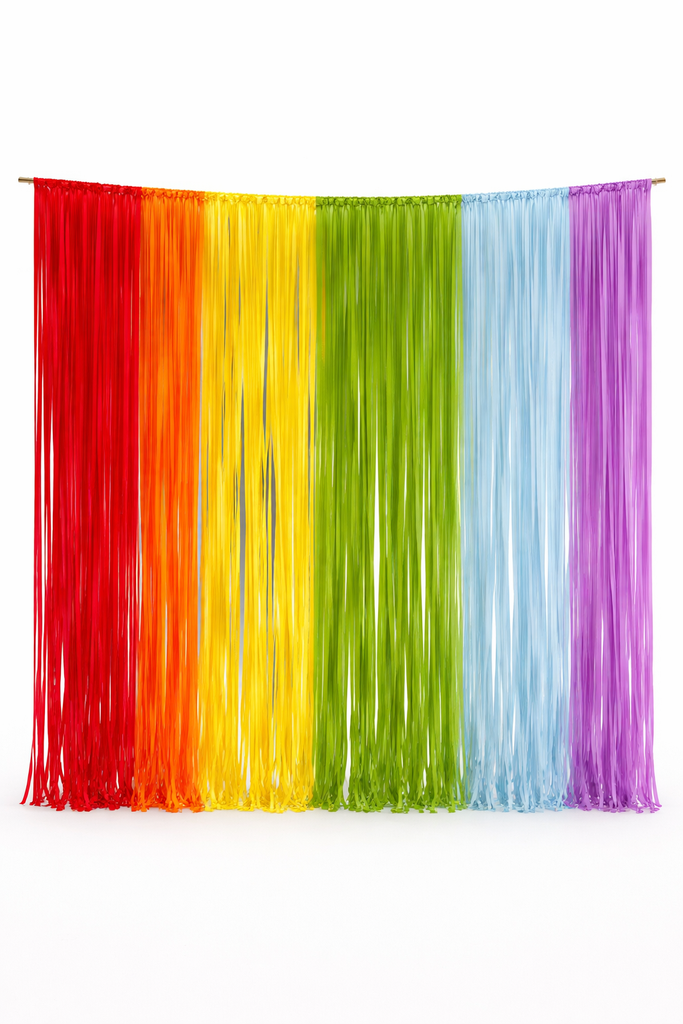 Custom Fringe Curtain Backdrop, Custom Color Party Decoration, Photo Booth Backdrop, Rainbow Streamer Wall, Wedding & Birthday Backdrop