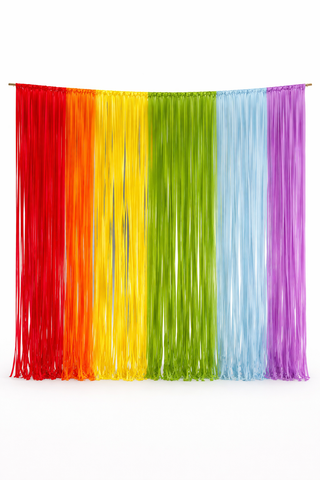 Custom Fringe Curtain Backdrop, Custom Color Party Decoration, Photo Booth Backdrop, Rainbow Streamer Wall, Wedding & Birthday Backdrop