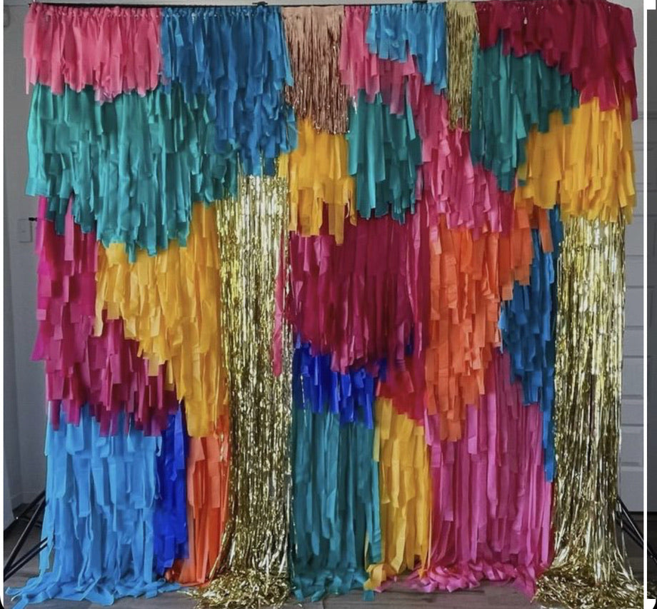 Custom Colour Fringe Backdrop Wall | Streamer Photo Backdrop | Event Decoration