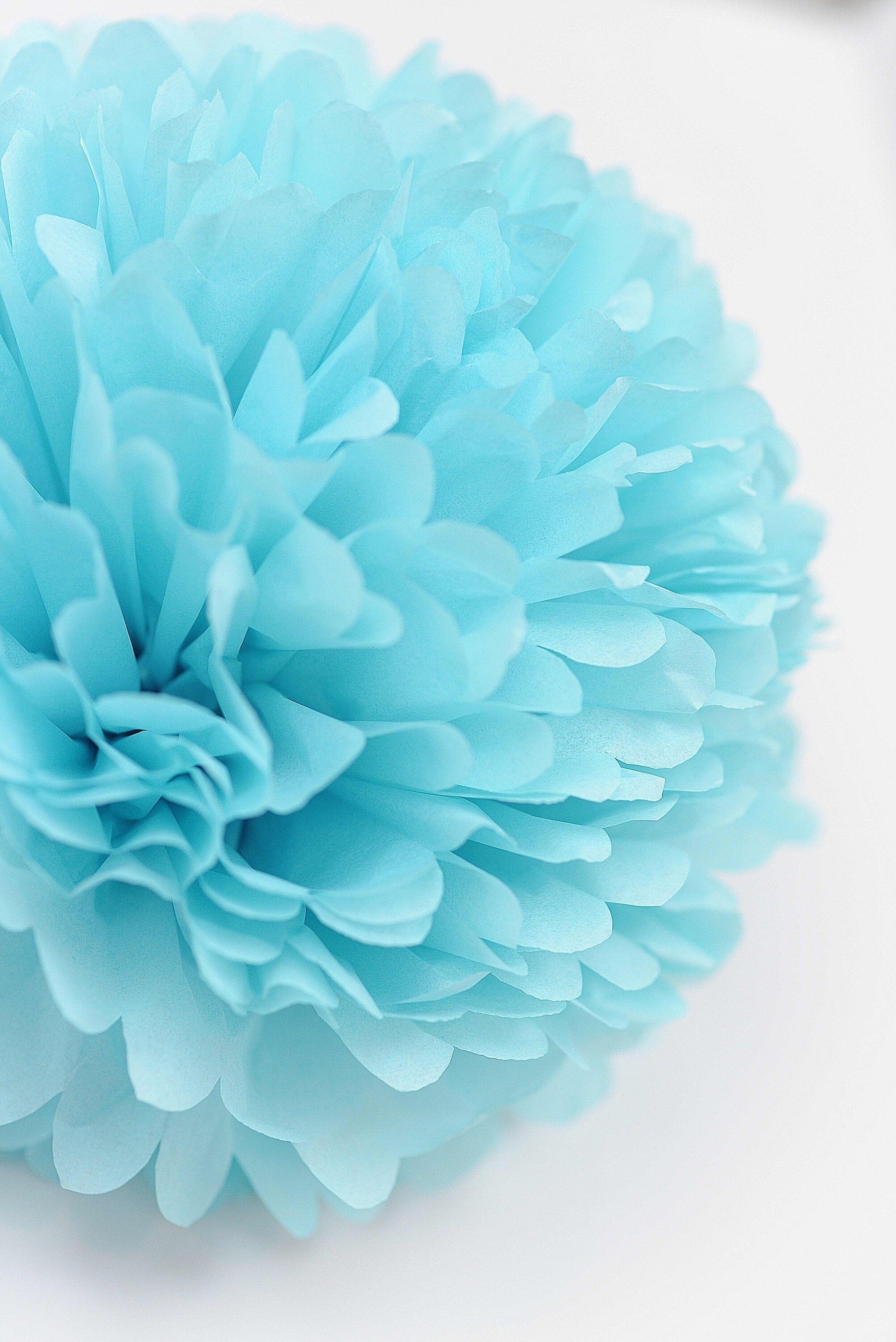Aqua blue and pink paper pom poms party decorations 12 psc paper flowers Wedding, gender reveal party, Birthday party, baby shower decor