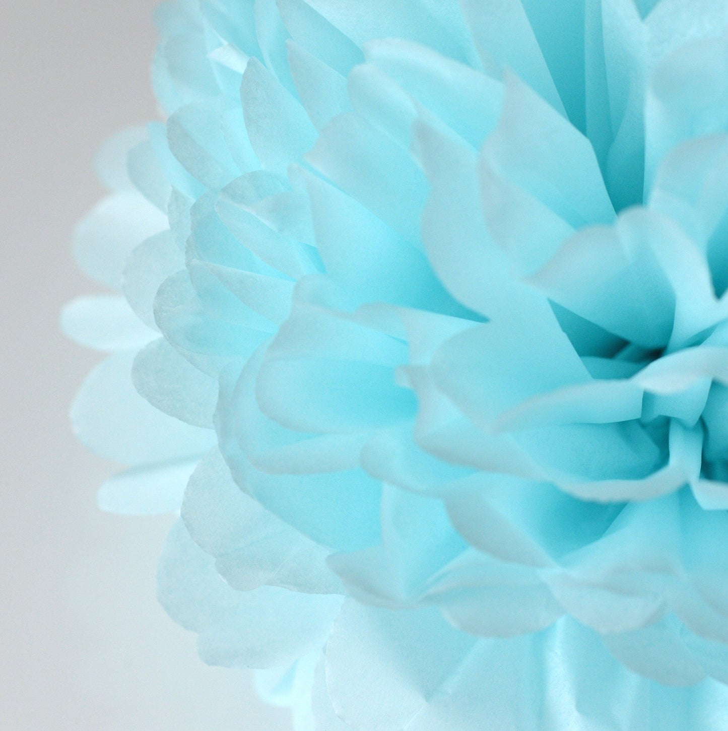 Aqua blue and pink paper pom poms party decorations 12 psc paper flowers Wedding, gender reveal party, Birthday party, baby shower decor