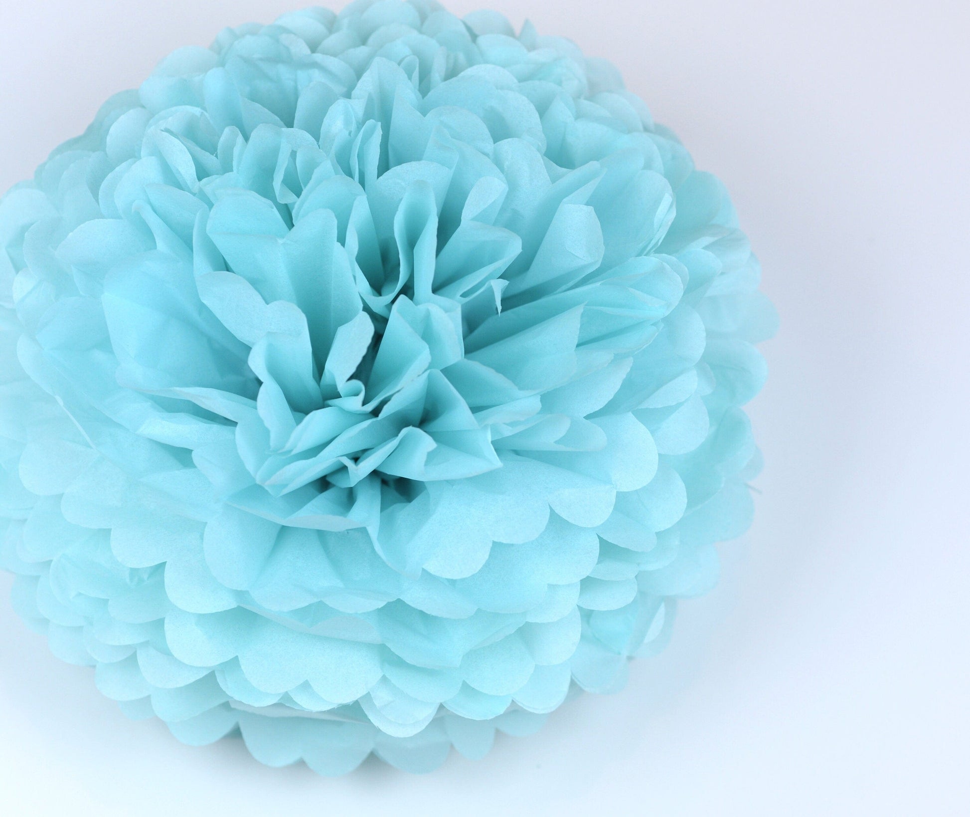 Aqua blue and pink paper pom poms party decorations 12 psc paper flowers Wedding, gender reveal party, Birthday party, baby shower decor