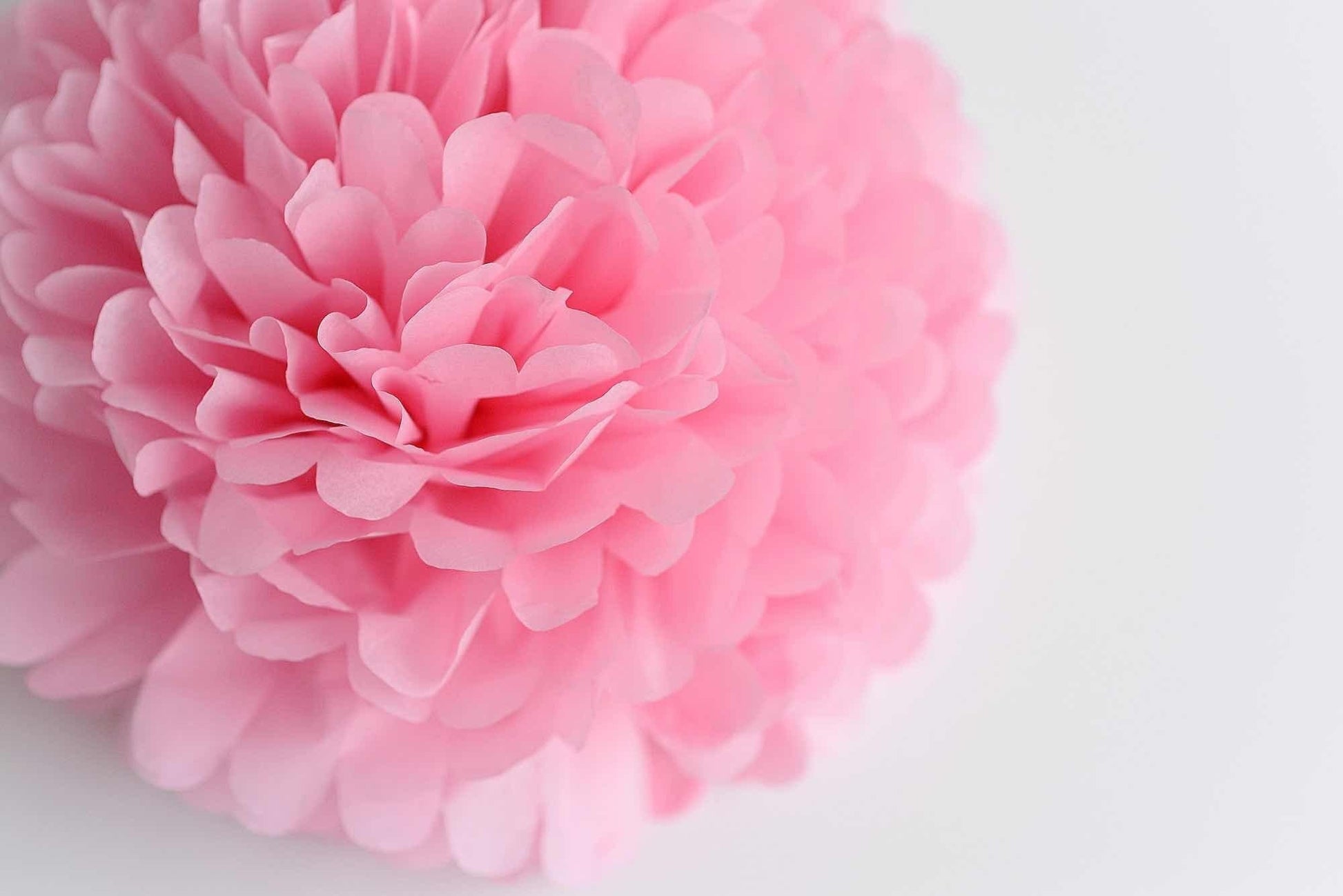 Aqua blue and pink paper pom poms party decorations 12 psc paper flowers Wedding, gender reveal party, Birthday party, baby shower decor