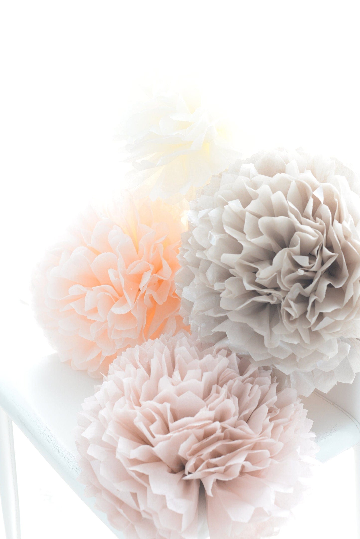 Blush and neutral tissue paper Pom Poms set of 10 mixed sizes paper flowers rustic Wedding, romantic Party, bridal shower, baby shower decor