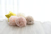 physical Blush and neutral tissue paper Pom Poms set of 10 mixed sizes paper flowers rustic Wedding, romantic Party, bridal shower, baby shower decor Decopompoms