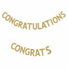 physical Graduation banner Tassel Garland - Colourful Fringe graduation decor Personalised Golden Custom banner Decopompoms