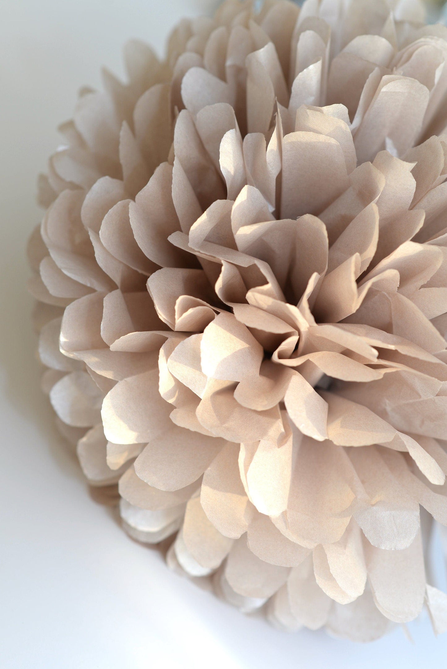 Neutral wedding Large paper pom poms set, beige, taupe Paper flowers decor for Birthdays, baby showers, bridal shower party decor