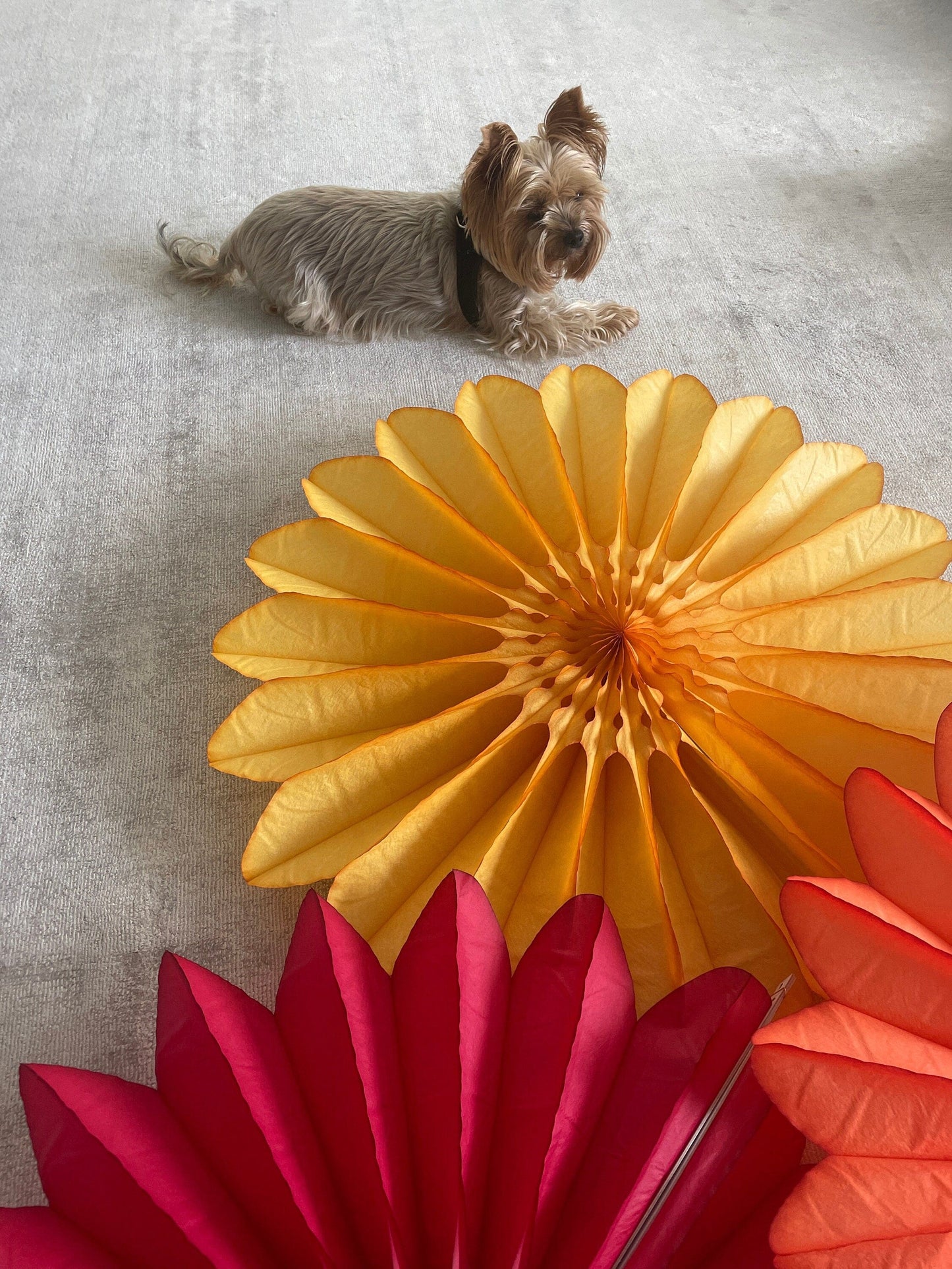 Paper fans - fall colours - party decoration set of 4 - orange yellow coral and deep red - 26" diameter