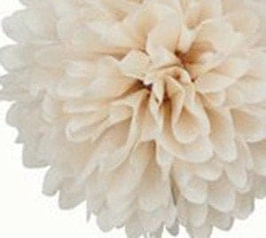 Paper Pom pom set of 16 | blush, neutral and pale mint Tissue paper pom poms | pastel Paper flowers | Wedding decor