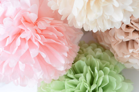 physical Pastel paper pom pom set | Wedding decorations set | Paper flowers | Tissue paper balls | Bridal shower decor Decopompoms