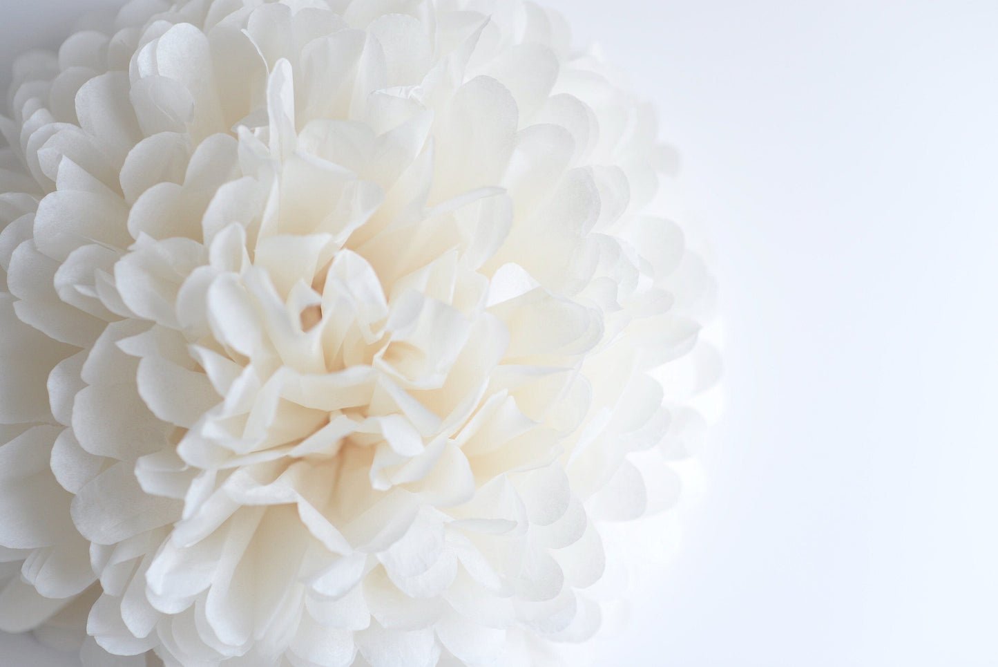 Pink Party pom pom set of 24 | mixed size party pom poms| Paper flowers | School decorations