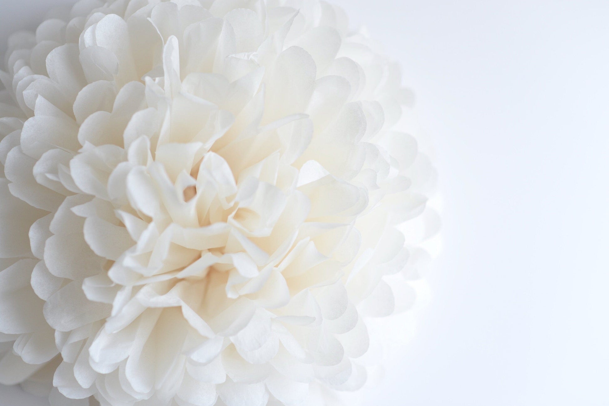Pink Party pom pom set of 24 | mixed size party pom poms| Paper flowers | School decorations