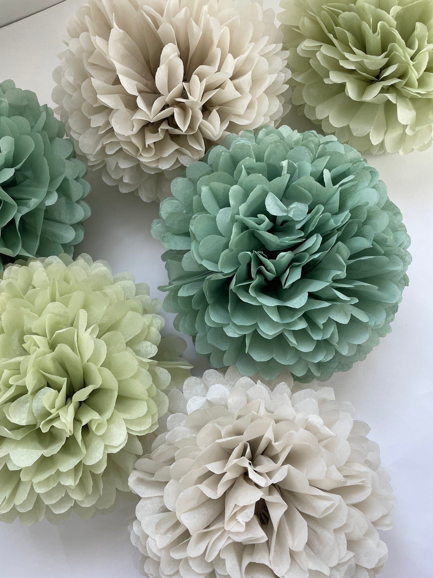 Pom pom set of 10 large sage green Tissue paper pom poms | dusty green Paper flowers | Wedding decor | cream and green party decor