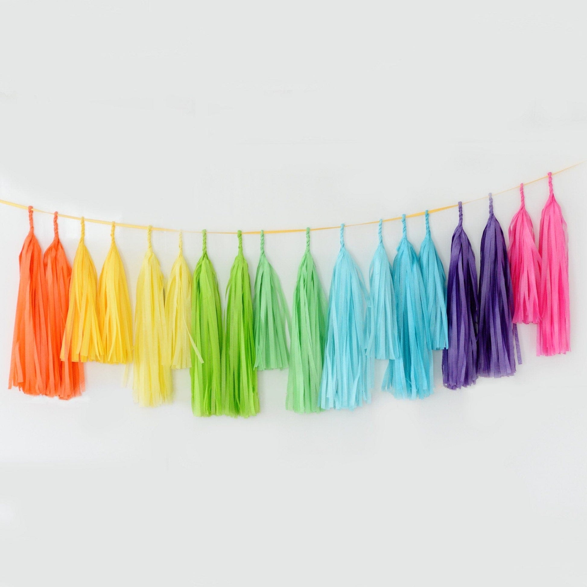 Rainbow party decor - paper flower pom poms and tassel garland