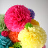 physical Rainbow party decor - paper flower pom poms and tassel garland Decopompoms