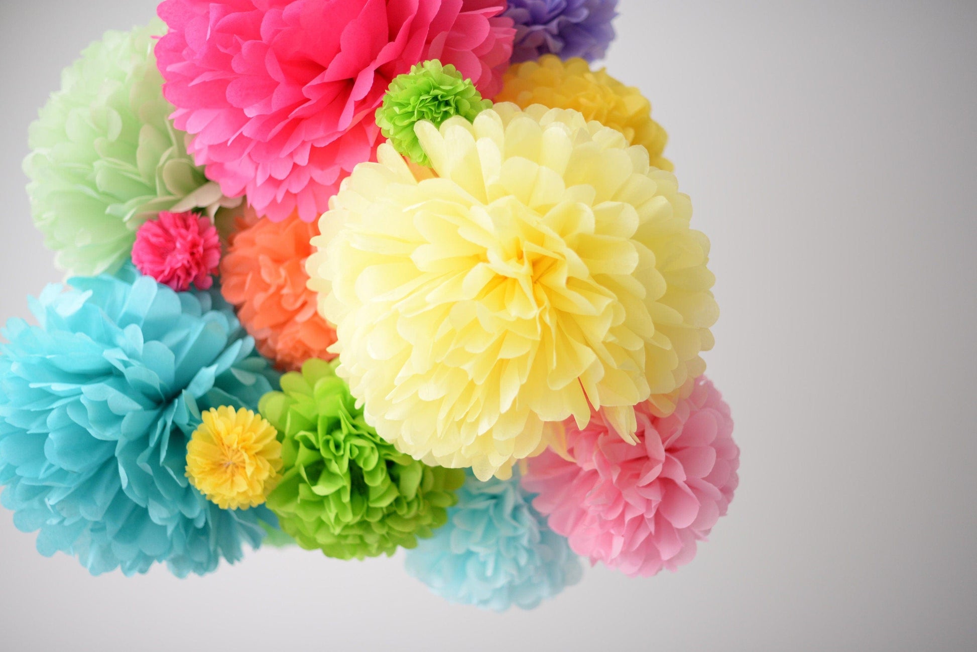 Rainbow party decor - paper flower pom poms and tassel garland