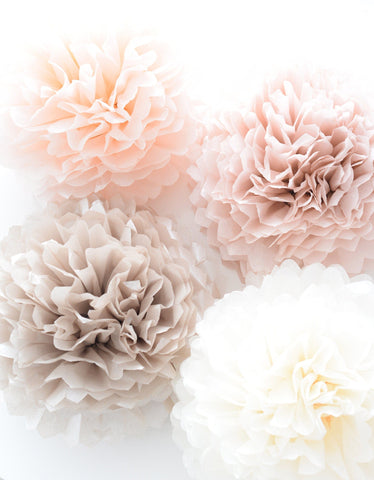 physical Blush and neutral tissue paper Pom Poms set of 10 mixed sizes paper flowers rustic Wedding, romantic Party, bridal shower, baby shower decor round Decopompoms