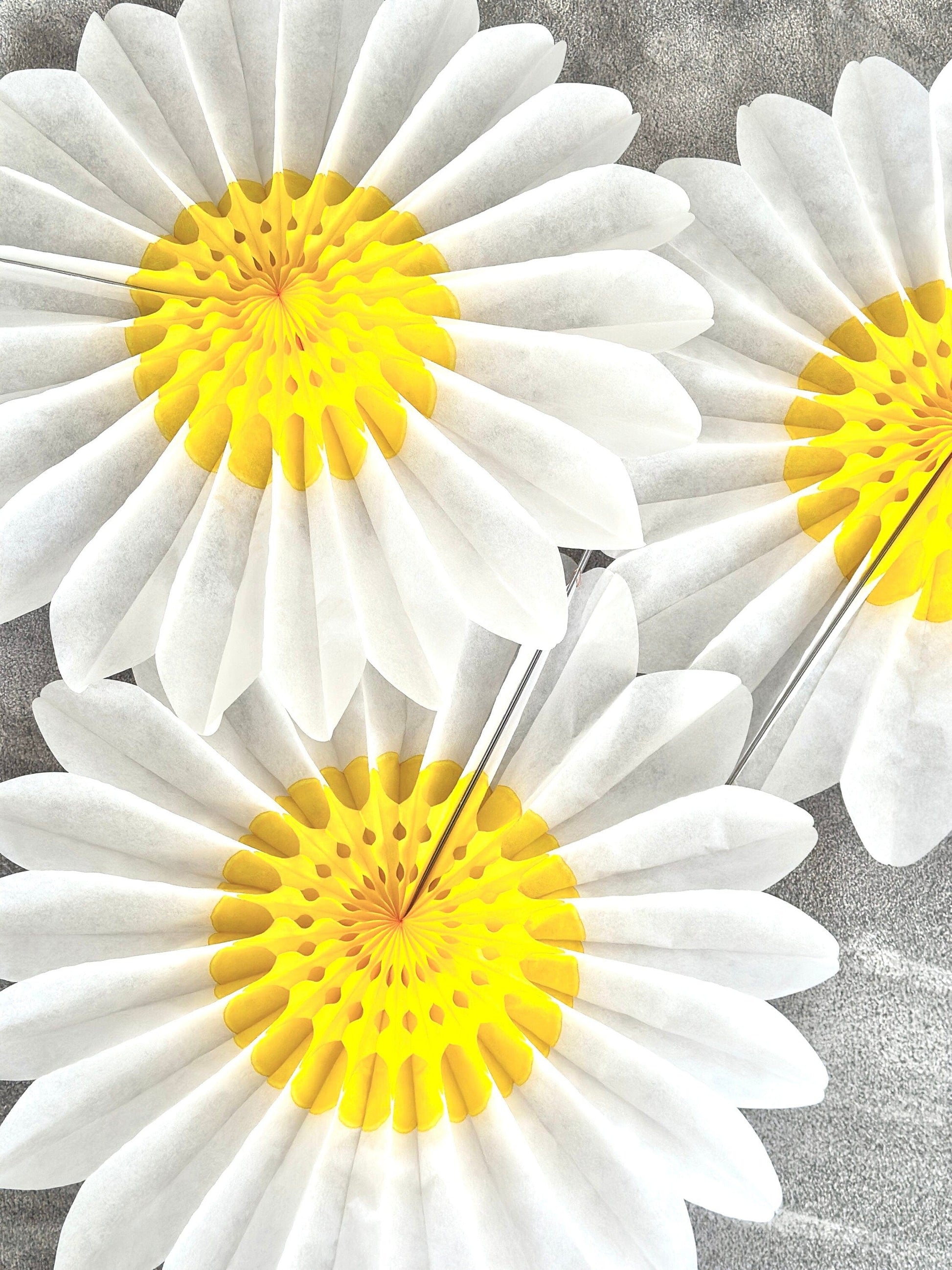 Set of 3 Beautiful White and Yellow Paper Daisy Flowers - Huge Paper Fan Party Decorations - Paper Flower Decor for Weddings and birthday