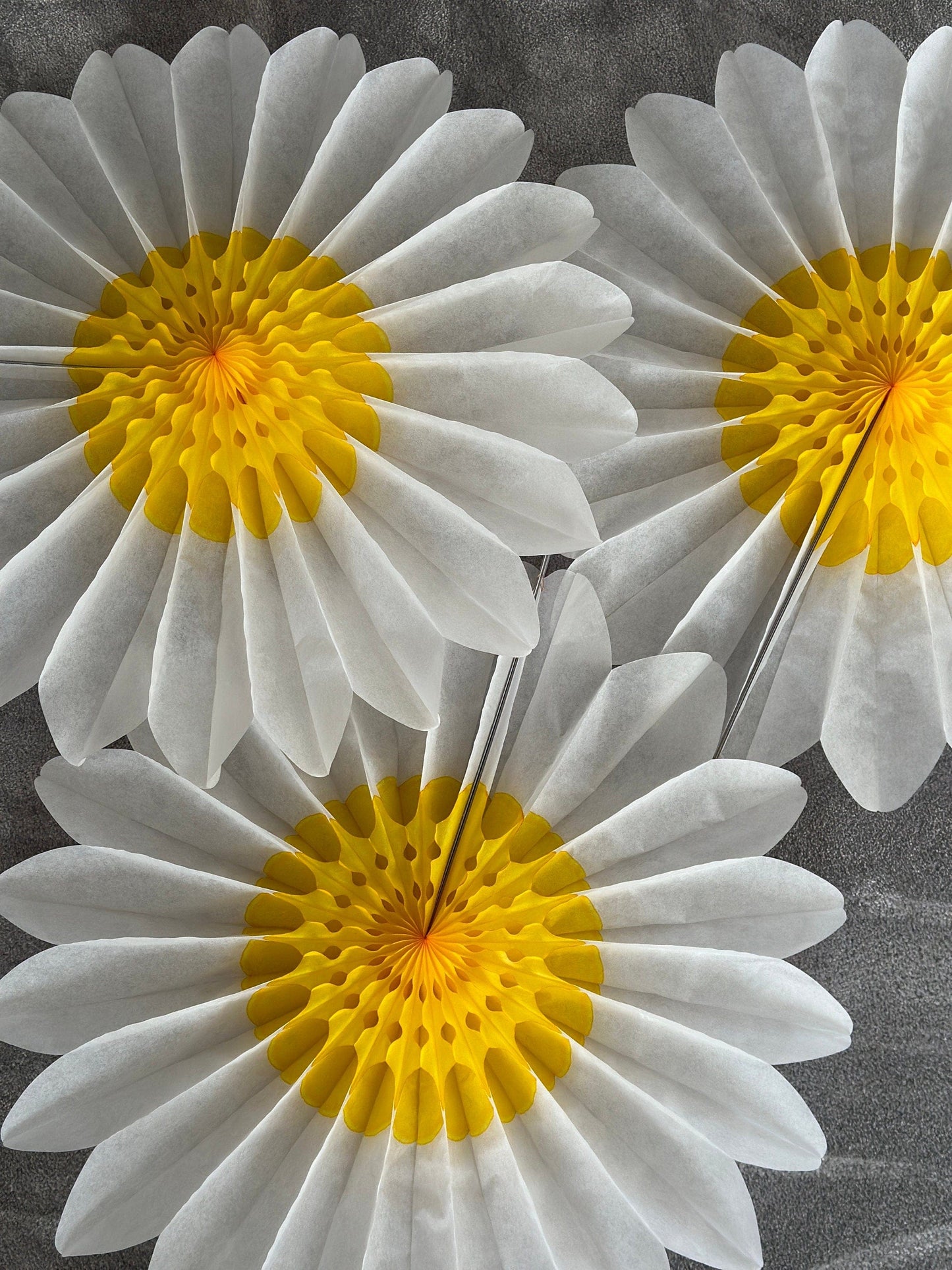 Set of 3 Beautiful White and Yellow Paper Daisy Flowers - Huge Paper Fan Party Decorations - Paper Flower Decor for Weddings and birthday