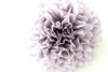 Paper pom pom in Dusty purple | Wedding decoration | Paper flower | Boho decor