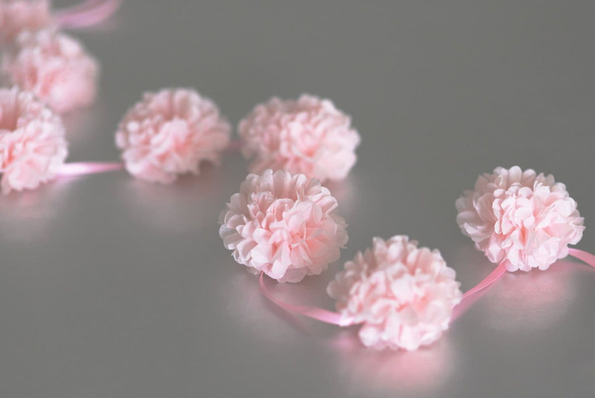 Handmade Blush Pink Tissue Paper Pom Pom Garland: Party Decor