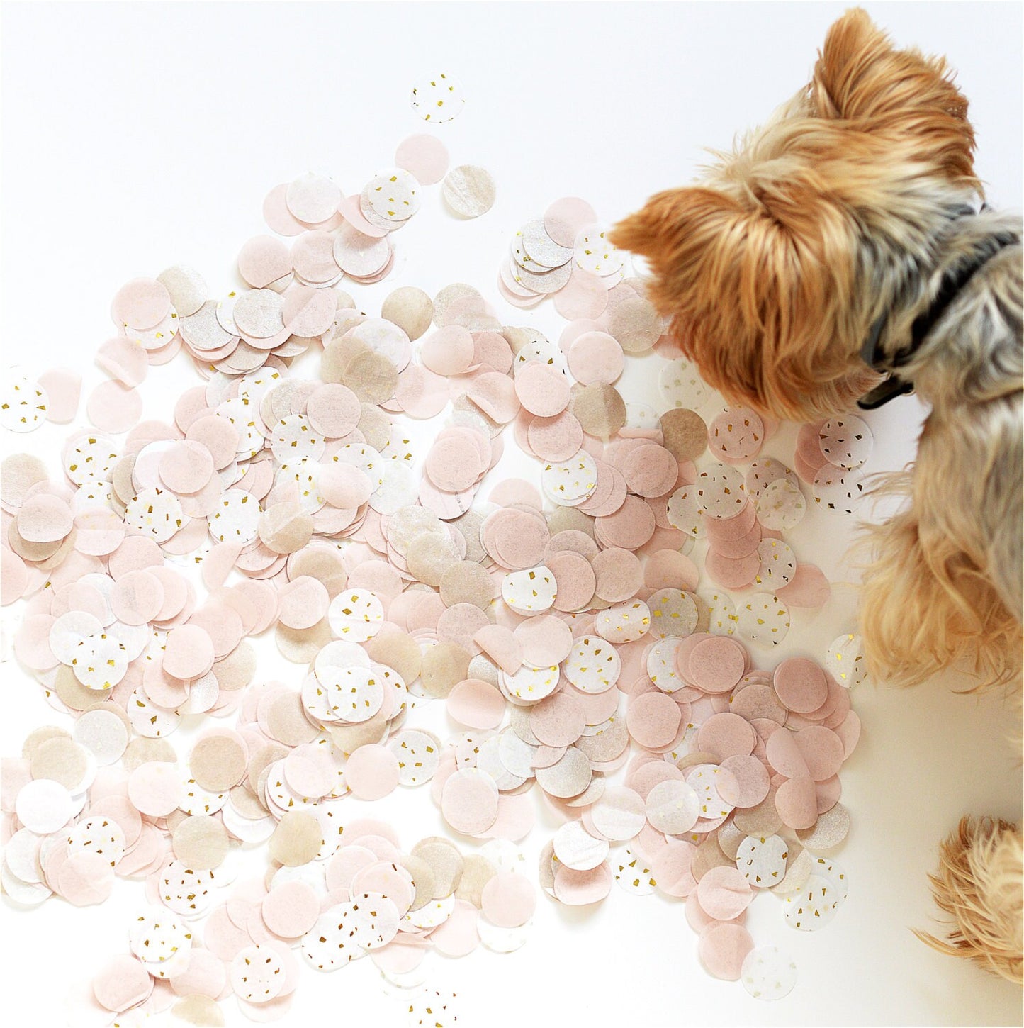 Blush Pink and Champagne Biodegradable Tissue Paper Confetti - 15g Wedding, Baby Shower, Bridal Shower, Birthday Party Decor