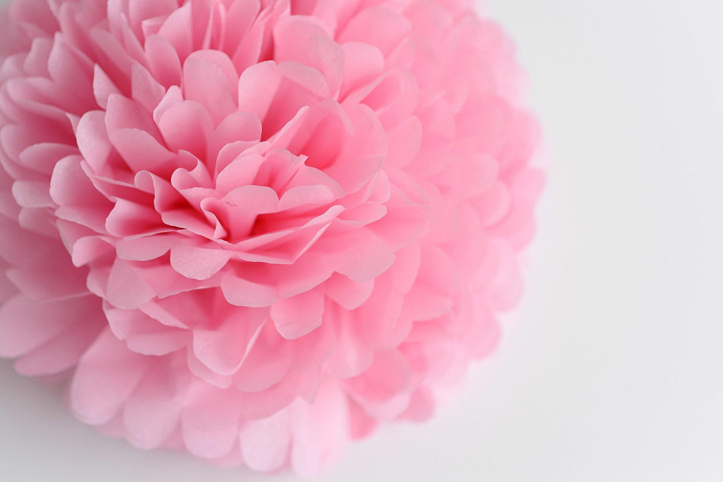 Baby pink fluffies peper pom poms  birthday decor Baby shower decor Paper flowers Wedding decoration bridal shower boho whimsical  party