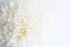 Ivory paper pom poms | Paper flower decor | Ivory wedding decor | Rustic wedding decor | Nursery decor