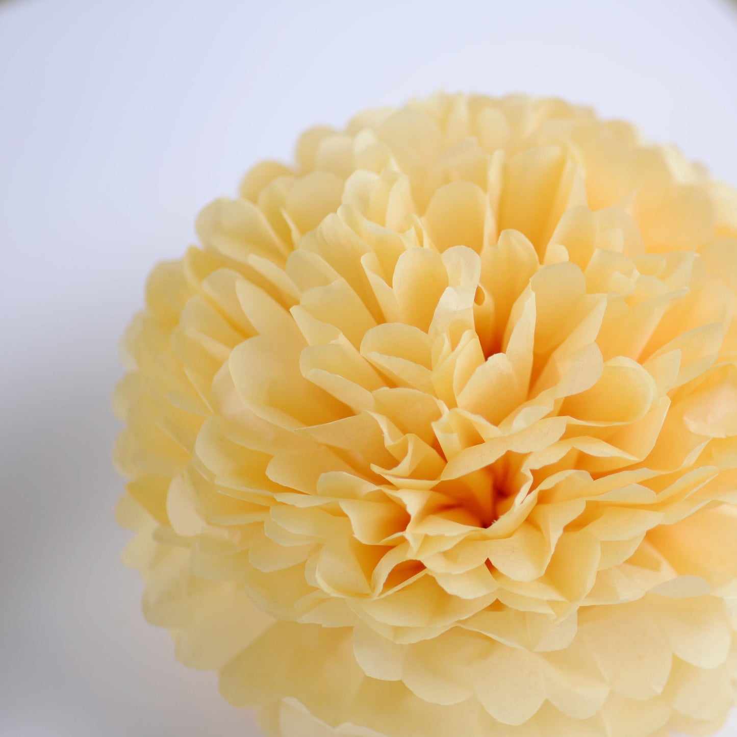 Honey yellow Paper pom pom party decorations  wedding decor yellow paper flowers, bridal shower, baby shower, classroom decor, paper decor