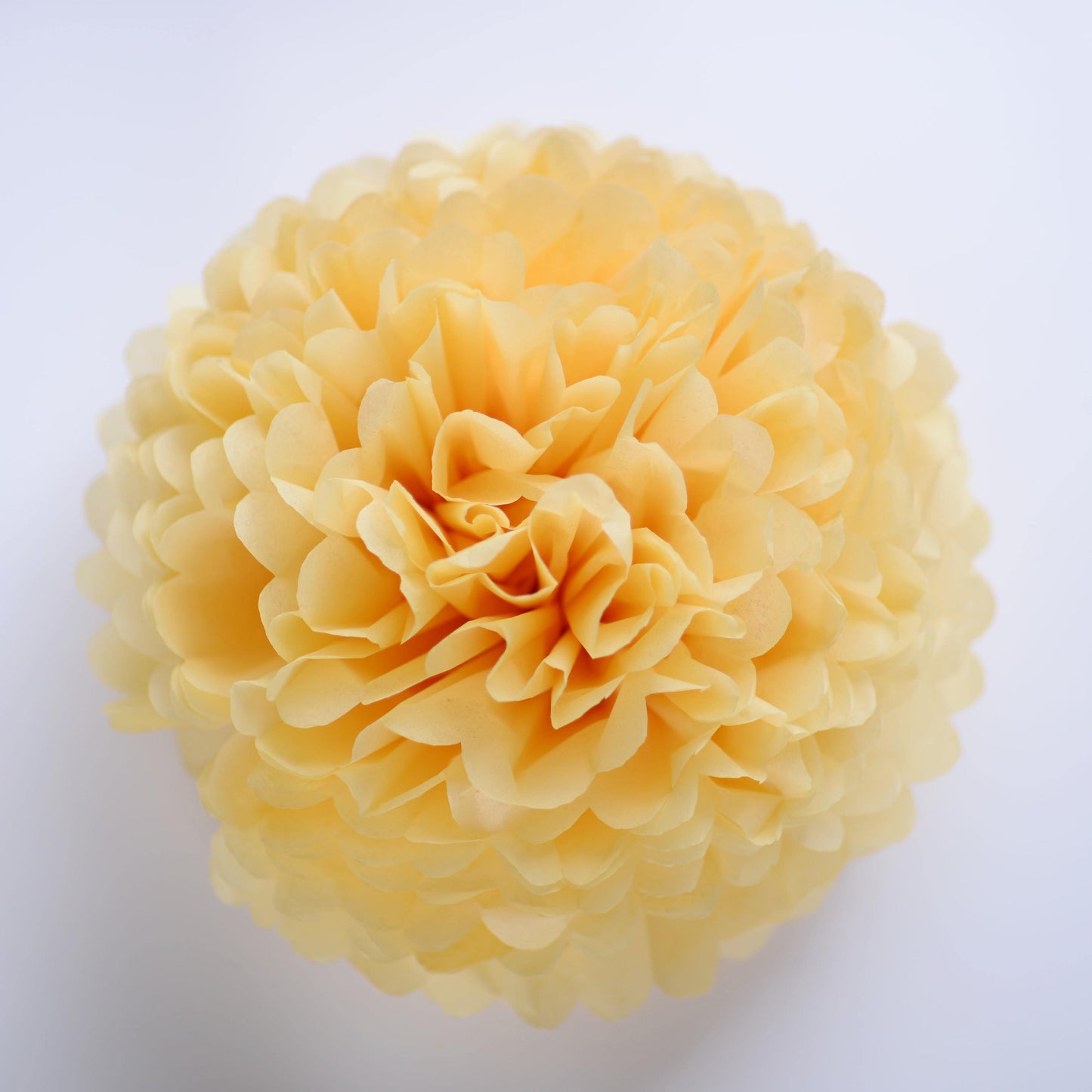 Honey yellow Paper pom pom party decorations  wedding decor yellow paper flowers, bridal shower, baby shower, classroom decor, paper decor