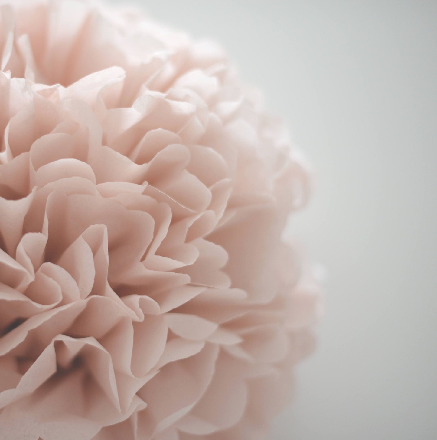 Blush and champagne tissue paper Pom Pom party decorations 10 psc mixed sizes paper flowers rustic Wedding bridal shower baby shower decor