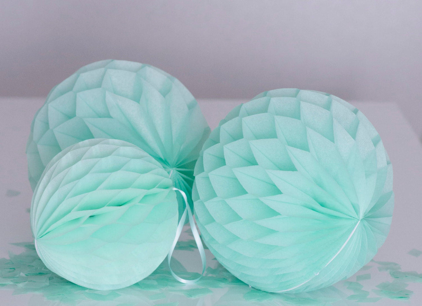 24 paper honeycomb pom poms set | Wedding decorations | Honeycomb balls