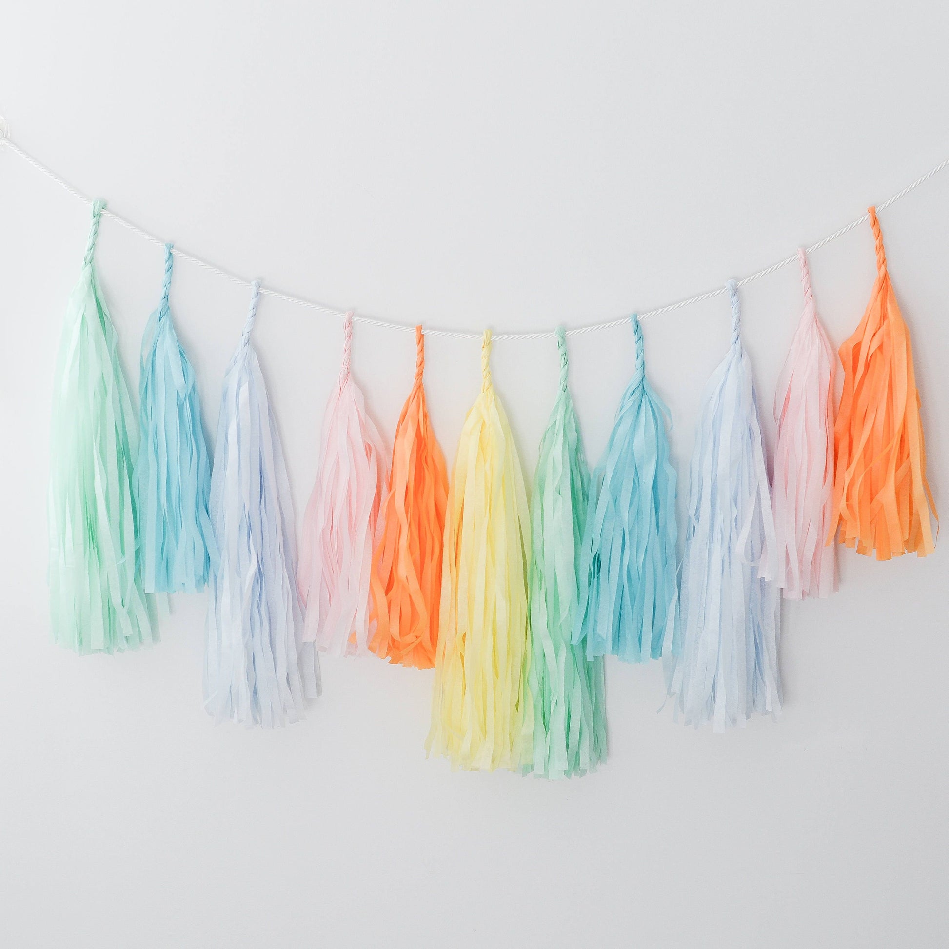 Pastel Rainbow Tissue Paper Tassel Garland: Party Decor
