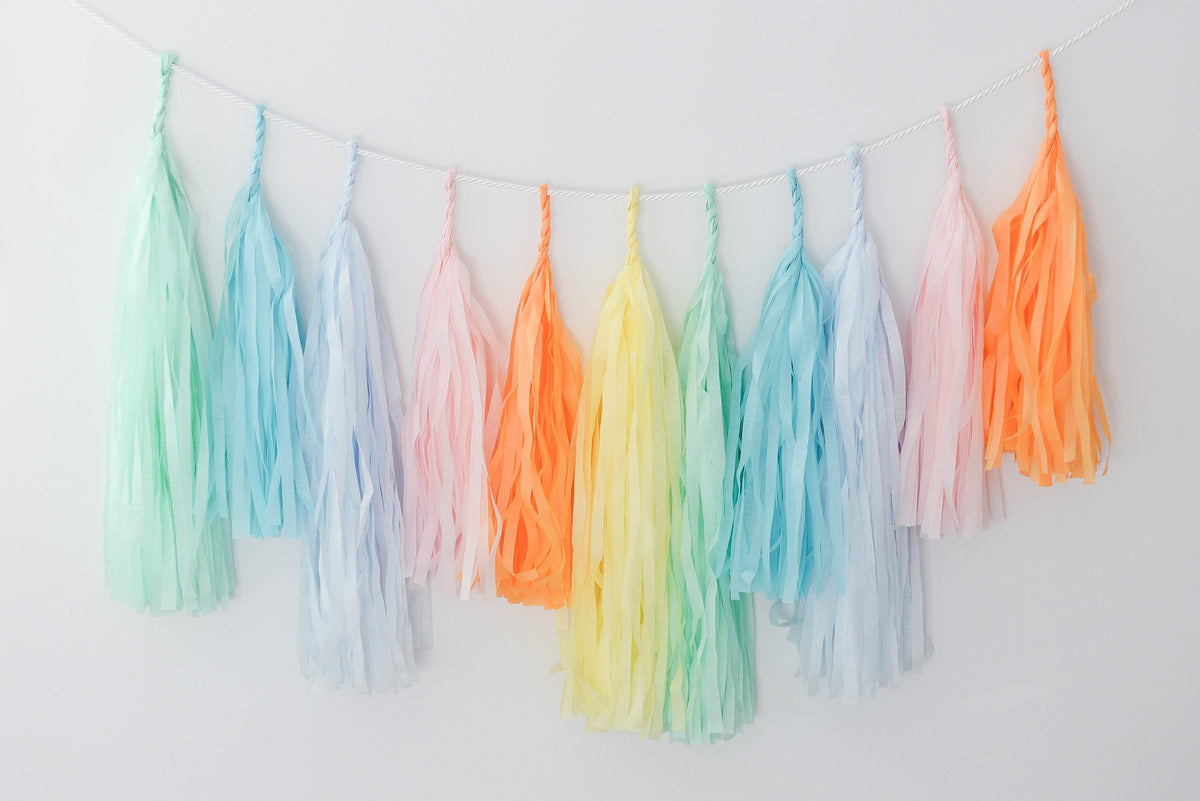 Pastel Rainbow Tissue Paper Tassel Garland: Party Decor