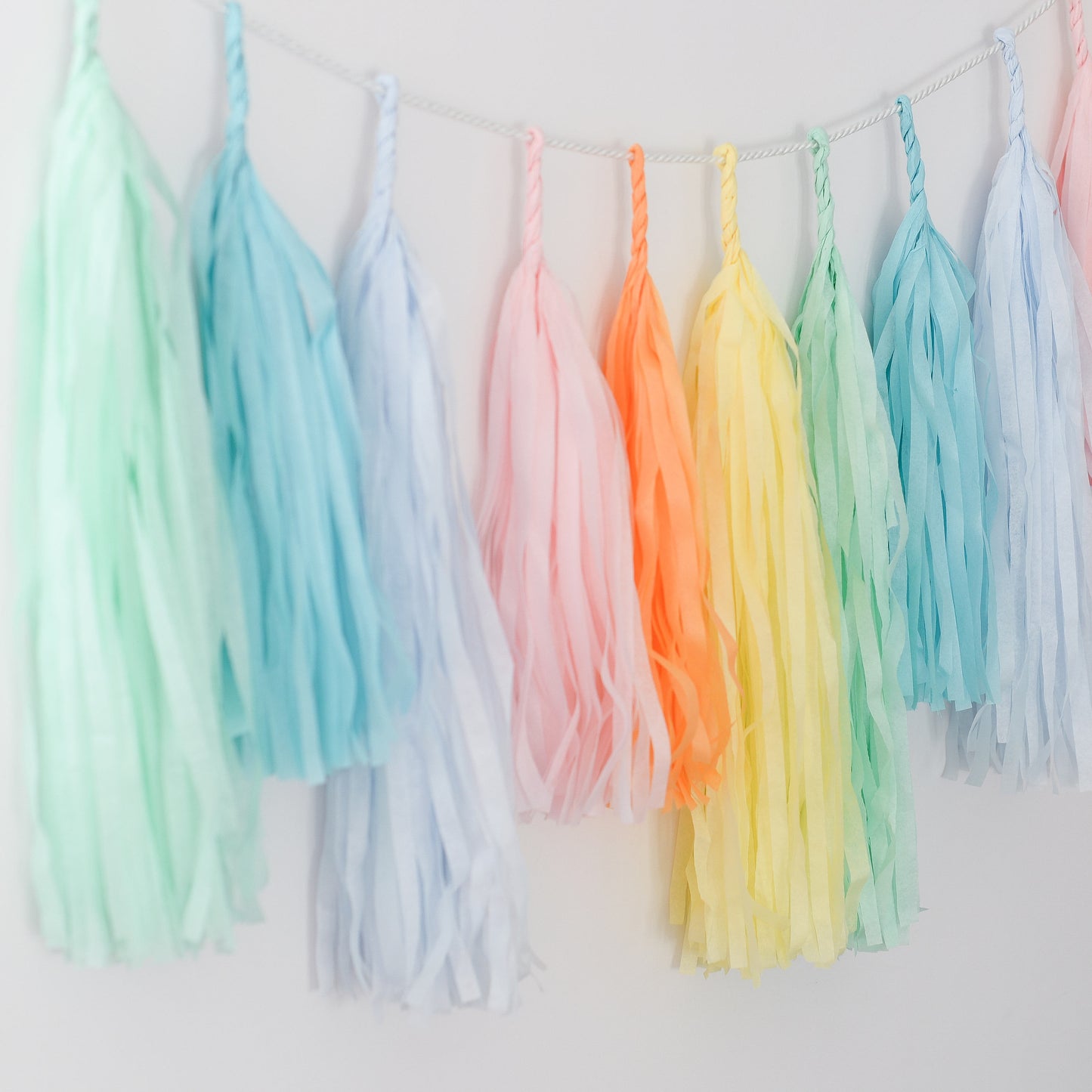 Pastel Rainbow Tissue Paper Tassel Garland: Party Decor