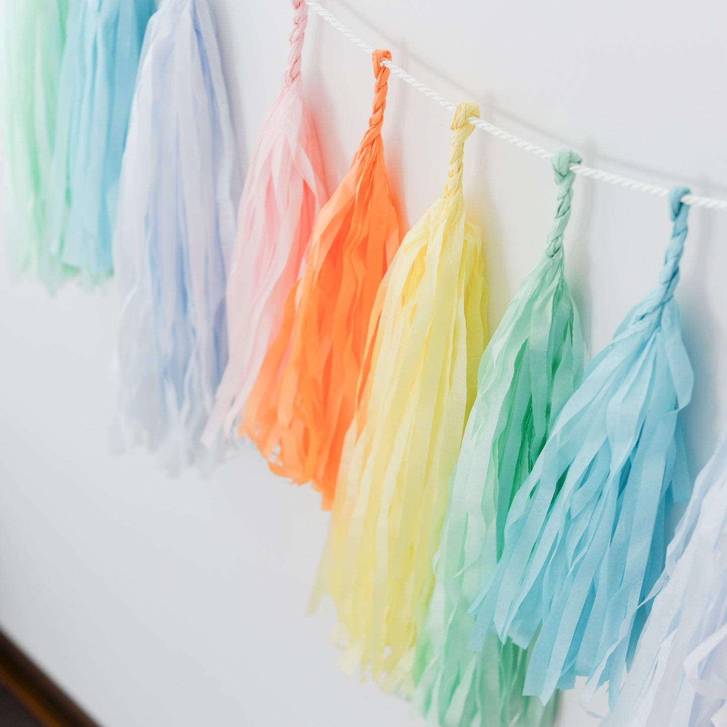 Pastel Rainbow Tissue Paper Tassel Garland: Party Decor