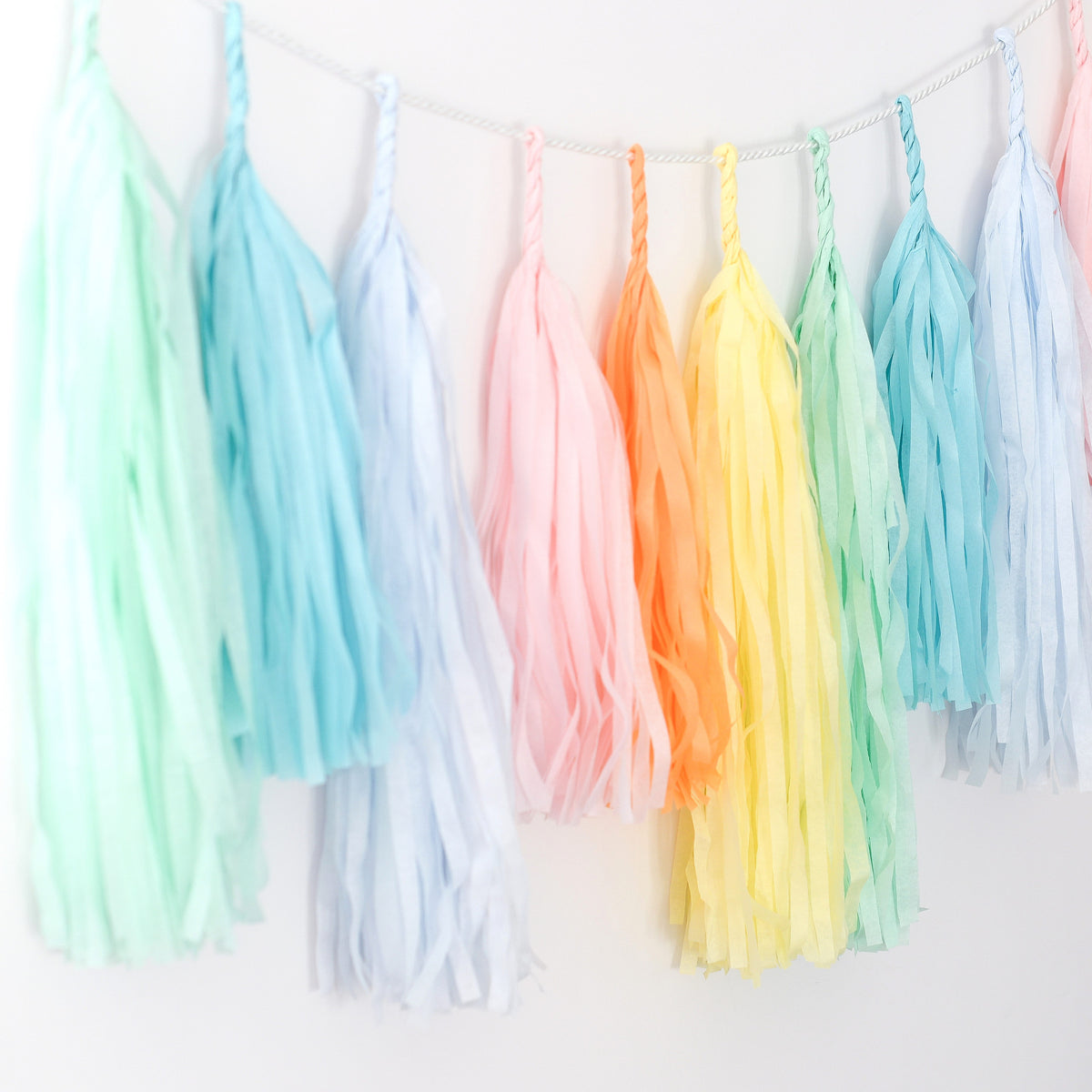 Pastel Rainbow Tissue Paper Tassel Garland: Party Decor