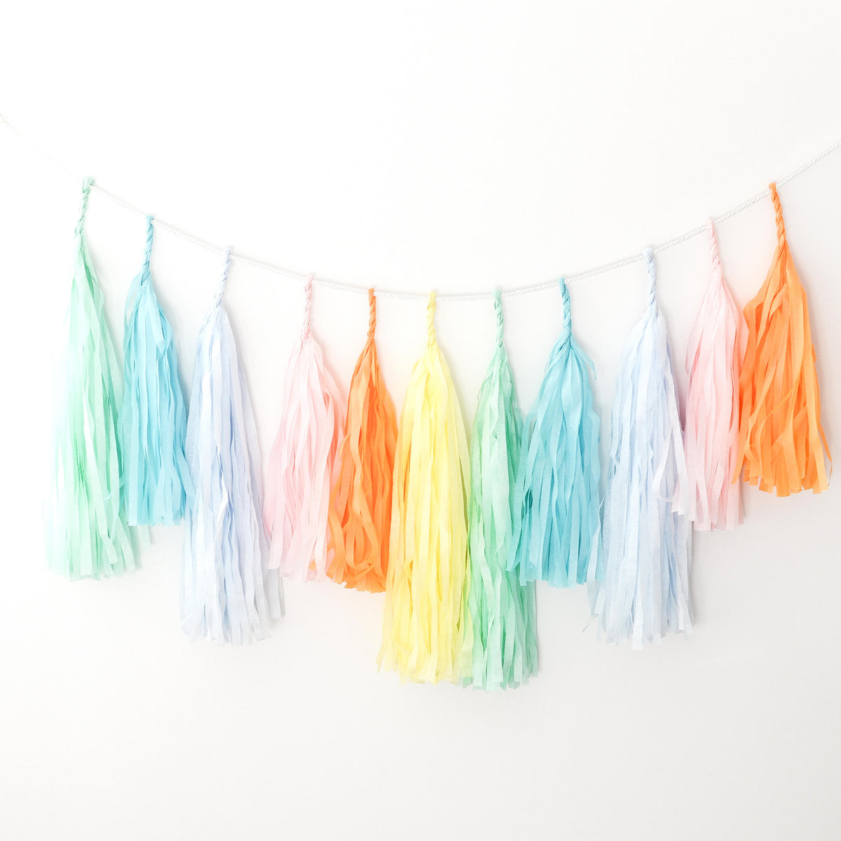 Pastel Rainbow Tissue Paper Tassel Garland: Party Decor